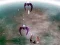 Spiel Scape Shotter Online
