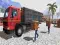 Spiel Asiatischer Offroad-Lkw-Fahrer Online