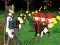 Spiel Bester Kampf Cover Royale Online