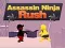 Spiel Assassin Ninja Rush Online