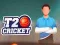 Spiel T20 Cricket Online