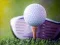 Spiel Unblockiertes Golf-Herausforderung Online