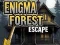 Spiel Enigma Wald Flucht Online