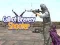 Spiel Ruf der Tapferkeit: Shooter Online
