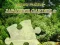 Spiel Puzzle Japanischer Garten 2 Online