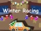 Spiel Winterrennen 2D Online