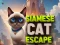 Spiel Siamkatze Flucht Online