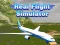 Spiel Echter Flugsimulator Online