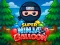 Spiel Super Ninja Balloon Online