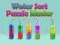 Spiel Wassersortier-Puzzle-Meister Online