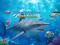 Spiel Hunter Unterwasser-Speerfischen Online