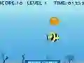 Spiel Fischüberleben Online Spiel Fischüberleben Online