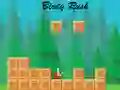 Spiel Vogelrausch Online