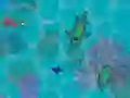 Spiel Sharkz.io Online
