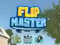 Spiel Flip Meister Online Spiel Flip Meister Online