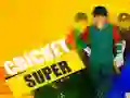Spiel Super Cricket Online Spiel Super Cricket Online