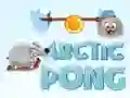 Spiel Arktischer Pong Online