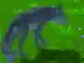 Spiel Wolf Simulator Online Spiel Wolf Simulator Online