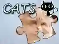 Spiel Puzzle: Katzen Online