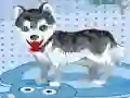 Spiel Mein süßer Hund beim Baden Online Spiel Mein süßer Hund beim Baden Online