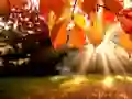 Spiel Puzzle: Herbst Online Spiel Puzzle: Herbst Online