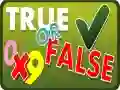 Spiel Wahr oder Falsch Online Spiel Wahr oder Falsch Online