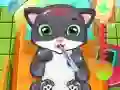 Spiel Katze Doktor Online Spiel Katze Doktor Online