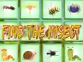 Spiel Finde Das Insekt Online Spiel Finde Das Insekt Online