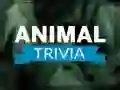 Spiel Tier-Trivia Online Spiel Tier-Trivia Online