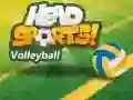 Spiel Head Sports Volleyball Online Spiel Head Sports Volleyball Online