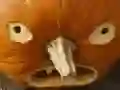 Spiel 5 in 1 Bilderrätsel: Halloween Online Spiel 5 in 1 Bilderrätsel: Halloween Online