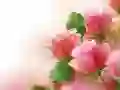 Spiel Rosa Rosen Online Spiel Rosa Rosen Online