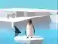Spiel Pinguinkampf.io Online Spiel Pinguinkampf.io Online