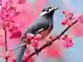 Spiel Liebenswerte Vögel Online Spiel Liebenswerte Vögel Online