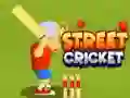 Spiel Straßenkricket Online