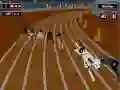Spiel Verrücktes Hund Racing-Fieber Online