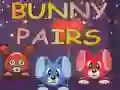 Spiel Kaninchen Paare Online Spiel Kaninchen Paare Online