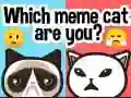 Spiel Welcher Meme-Kater bist du? Online Spiel Welcher Meme-Kater bist du? Online