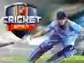 Spiel Cricket 2020 Online Spiel Cricket 2020 Online