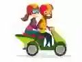 Spiel Motorräder Finde die Unterschiede Online Spiel Motorräder Finde die Unterschiede Online