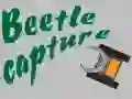 Spiel Käfer fangen Online Spiel Käfer fangen Online