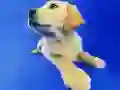 Spiel Lustiges Katzen- und Hunde-Puzzle Online Spiel Lustiges Katzen- und Hunde-Puzzle Online