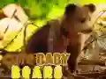 Spiel Niedliche Babybären Online Spiel Niedliche Babybären Online