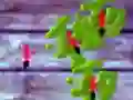 Spiel Ameisen Smashen Online Spiel Ameisen Smashen Online