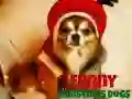 Spiel Lustige Weihnachts Hunde Online