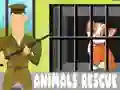 Spiel Tierrettung Online Spiel Tierrettung Online
