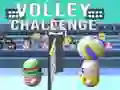 Spiel Volley-Herausforderung Online Spiel Volley-Herausforderung Online