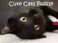 Spiel Niedliche Katzen Puzzle Online