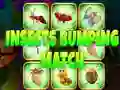 Spiel Insekten-Kollisionsspiel Online Spiel Insekten-Kollisionsspiel Online