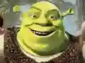 Spiel Shrek Puzzlesammlung Online